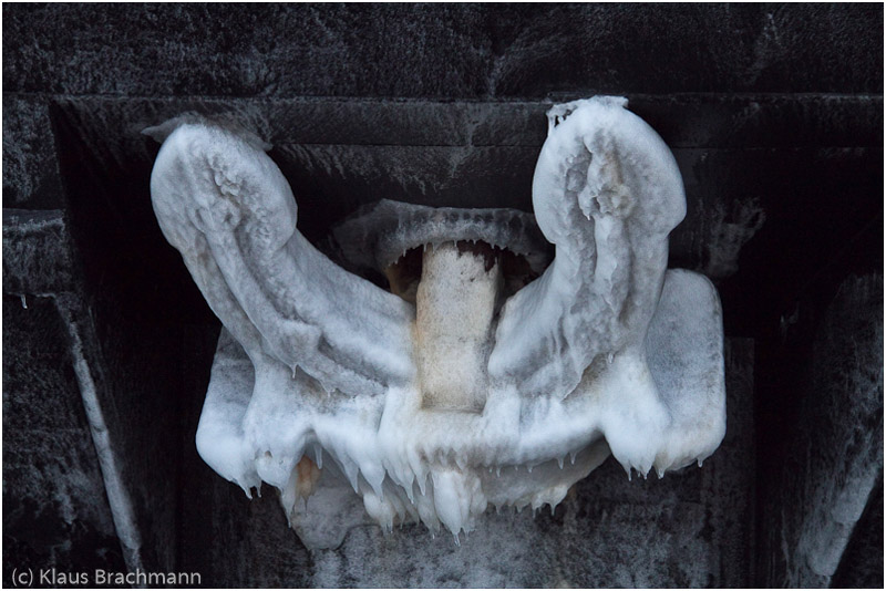Winterreise 2010